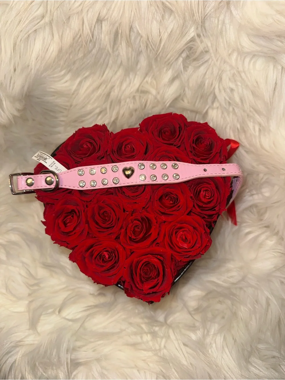 Vibrant Life XS Pink Rhinestone Heart Dog Collar NWT Adjustable Bling Puppy